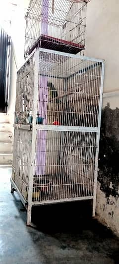 cage size 2/1.2 parrot 03404505419 whtsap call