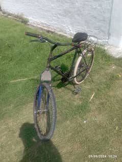 I sell my phoneix bicycle