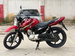 Yamaha ybr 125g