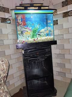 Fish Aquarium for sale only