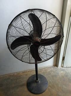 Royal Pedestal Fan