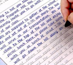 Proffessional urdu and English  assingement writing in low cost