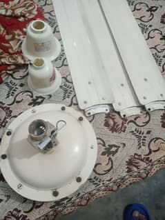 ceiling fan 03085600316 contact