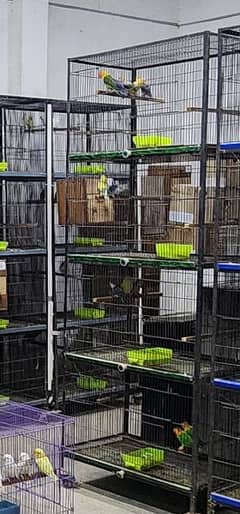 Birds Cage / Cages / Hen Cages /  Iron Cage / Pinjra /Pinjra for Sale