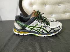 Asics Cricket shoes 0322-6256465