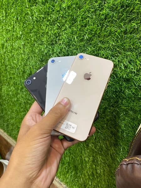 iPhone 8 non pta (jv) 1