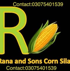 Corn Silage |Rana and Sons Corn Silage