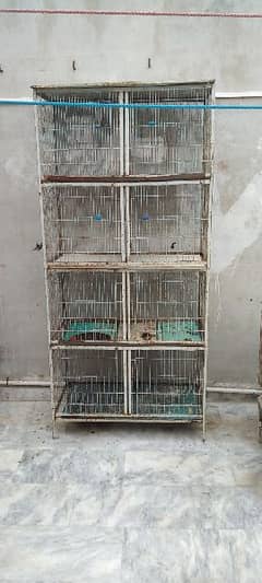 Cage 8 portion for sale  0/3/1/6/0/2/7/8/4/6/2