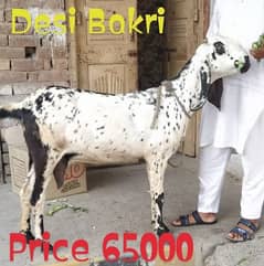 Desi Bakri Gabban