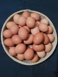 Desi Eggs for sale in Lahore 100% organic 0