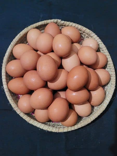 Desi Eggs for sale in Lahore 100% organic 0