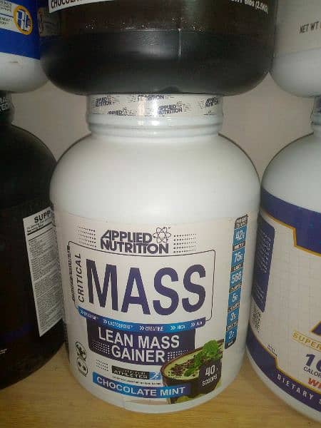 Whey Protein and Mass Gainer Indian Hole Sale Price 6