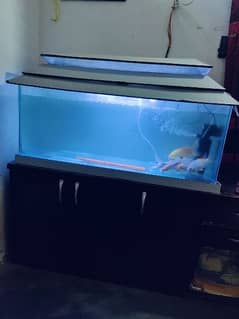 Aquarium ,fish tank, BIG SIZE 4feet, مچھلیوں کا اقوریم