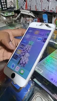 iPhone 6 only