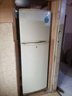 LG refrigerator