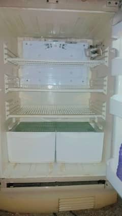 large size fridge