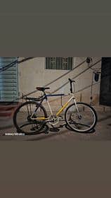 phoeinix cycle . . . . . good condition 1