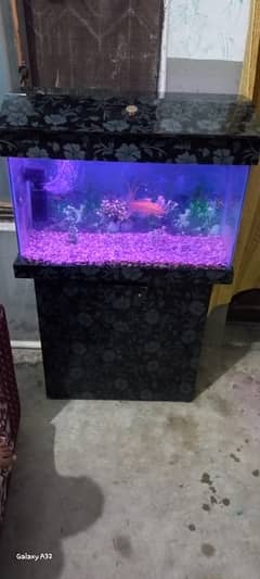 aquarium with fish complete setup available for sell 0