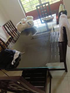 Dinning chair+full glass table for sale in ASKARI 10