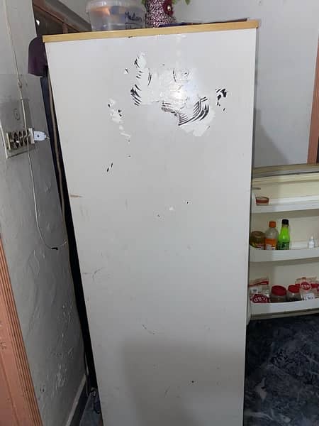 Pel Fridge For Sale 2