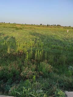 11 Kanal Commercial Plot For Sale Chakwal 0