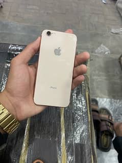 iphone 8 ki back cassing pori only