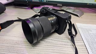 Sony a6300 30mm lens Mirrorless