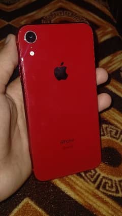 liphone xr non pta