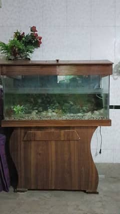 Aquarium size 3ft for sale