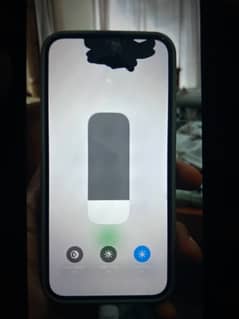 iPhone 14 panel