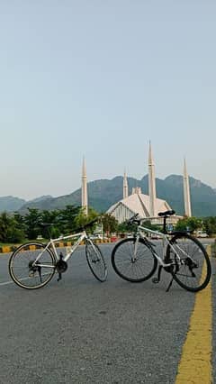 Cobalt hybrid bicycle