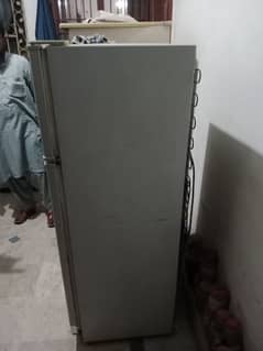 fridge