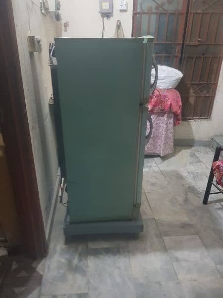 pel freezer is for sale 6