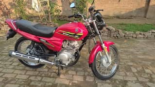 YAMAHA YB125Z CONDITION 10 BY 10 URGENT SALE 03.0. 0.9. 5.2. 3.0. 4.1