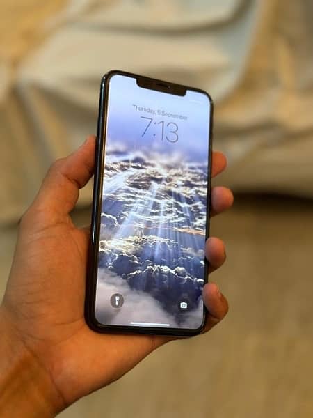 iPhone 11 Pro Max 256 Gb FU 8