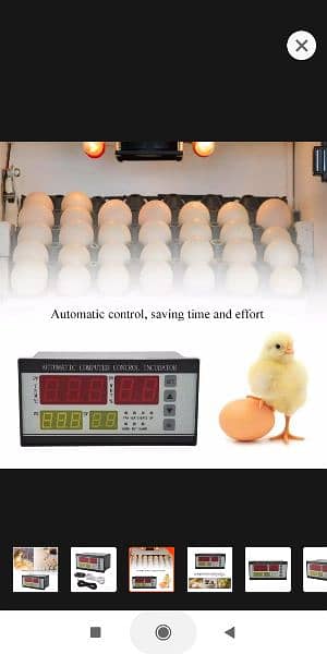 XM18 Incubator Controller Thermostat Full Automatic Pakistan XM- 7