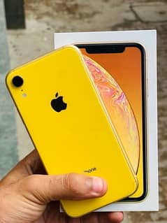 iphone Xr 256gb