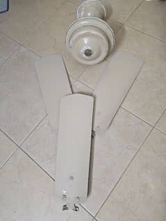 Old Celling Fan (Old is Gold)