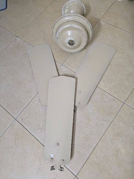 Old Celling Fan (Old is Gold) 0