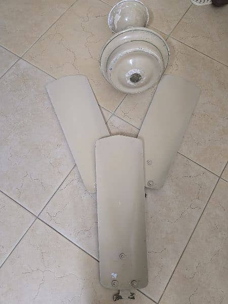 Kitchen Single Gas Stove/Chula & Old Celling Fan 5