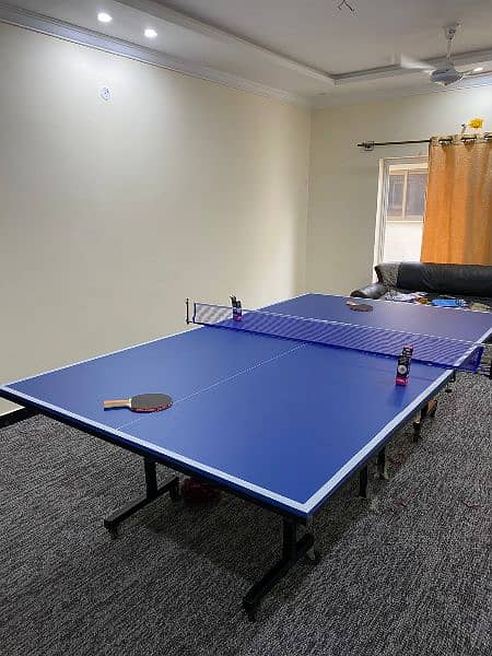 Table tennis table 12