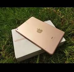 ipad mini 5 Golden