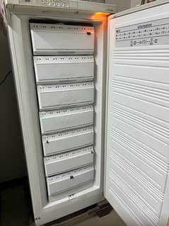 Haier Freezer