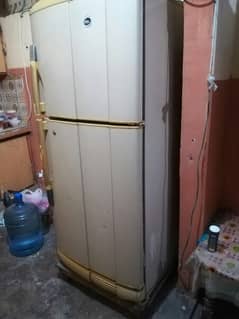 PEL Fridge in good condition