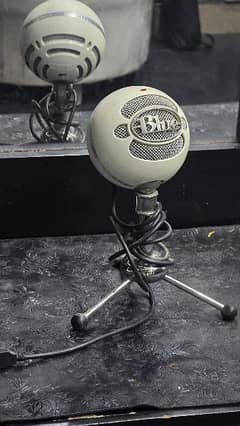 blue snowball