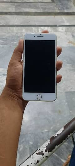 i phone 7 plus