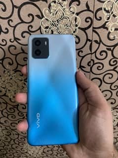 vivo