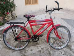 rainbow  bicycle  big cycle