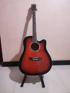 Semi Acoustic Guitar