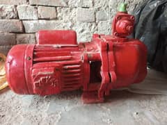 Single ampral pump
Copper winding